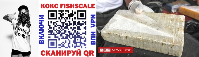 Кокаин Fish Scale  купить   Ефремов 