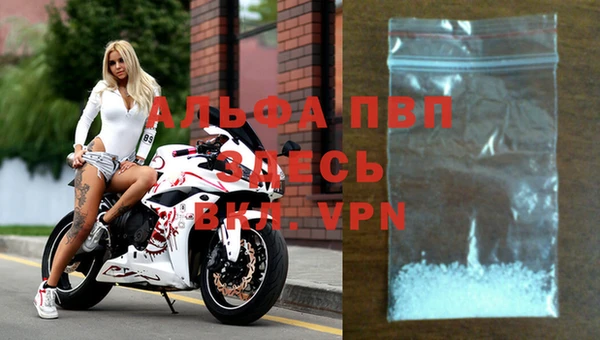 твердый Абаза