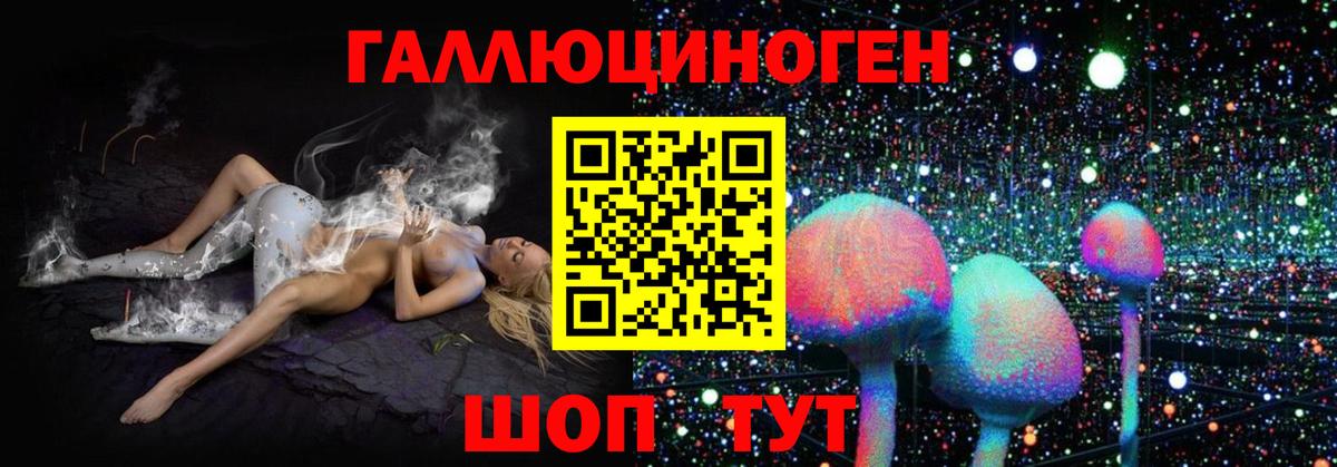 Галлюциногенные грибы мицелий  Вход с VPN  Ефремов 